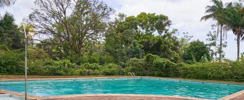 uma piscina com árvores ao fundo em Appartements Cayenne Standing em Caiena