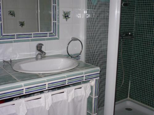 une salle de bain avec un lavabo et une douche dans l'établissement Maison du cheval, à Concarneau