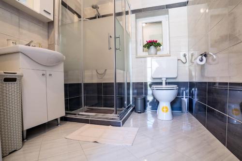 a bathroom with a shower and a toilet and a sink at Apartment Podini in Brseč