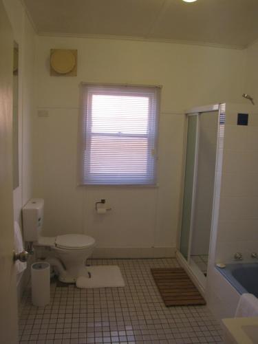 a bathroom with a toilet and a shower and a window at Acacia Cottage on Peel, Bathurst in Bathurst