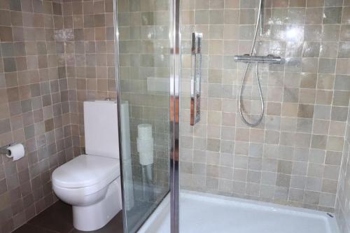 a bathroom with a toilet and a shower with a glass door at Le portail des Ardennes in Nassogne