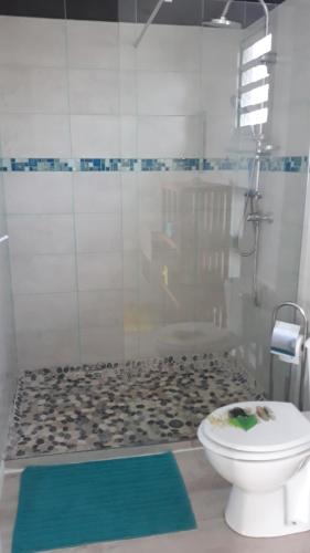 een badkamer met een douche, een toilet en een glazen deur bij bel ti kay in Les Anses-dʼArlets