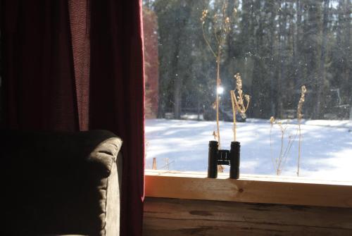16 Mile Cabins – Photos 5