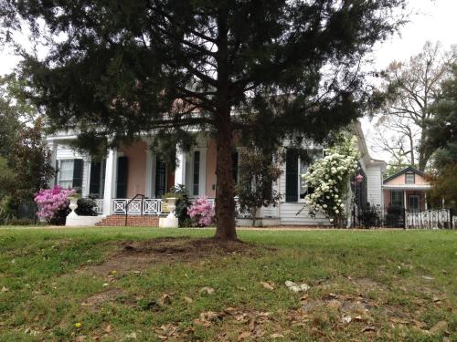 a white house with a tree in front of it at Stone House Musical B&B in Natchez