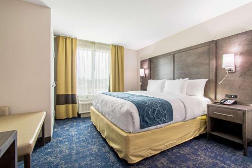 a hotel room with a large bed and a window at Comfort Suites Humble Houston IAH in Humble
