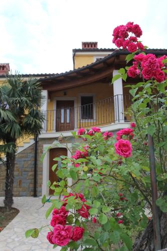 a house with red roses in front of it at Apartments Apartim Piran in Piran