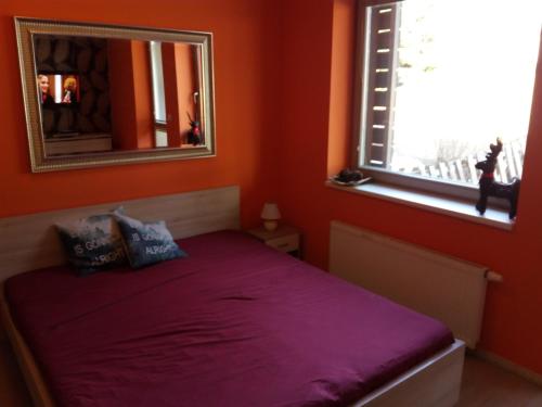 Schlafzimmer mit einem Bett und einem Spiegel an der Wand in der Unterkunft Apartmán Sofie se zahrádkou in Harrachov