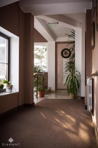 a hallway with plants and a clock on the wall at Pensiunea Diamant in Ghimbav