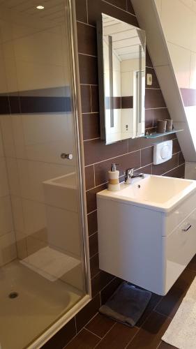 ein Bad mit einem Waschbecken und einer Dusche in der Unterkunft Ferienwohnung Dresden Nickern in Dresden