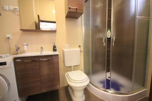 mała łazienka z toaletą i prysznicem w obiekcie Kristijan Apartments w mieście Novigrad