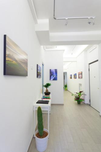 a room with a cactus and paintings on the wall at Elements Guest House in Rome