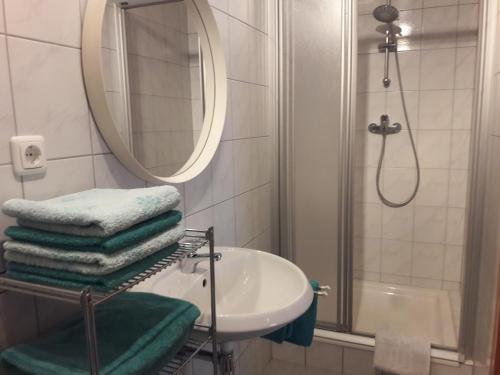 a bathroom with a sink and a mirror and a shower at Steurer Hof in Liebenfels