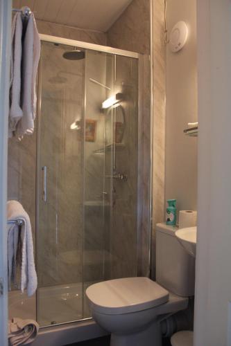 a bathroom with a shower with a toilet and a sink at Grey Gables Farmhouse B&B in Inishannon