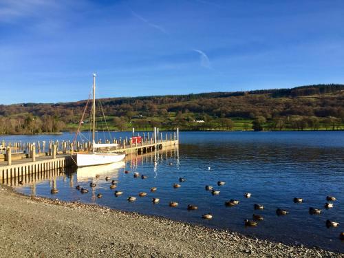 a bunch of ducks in the water next to a dock at Coniston Cottage Lake View in Coniston