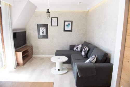 扎科帕内Apartamenty Gubałówka的客厅里有一张沙发和一台电视