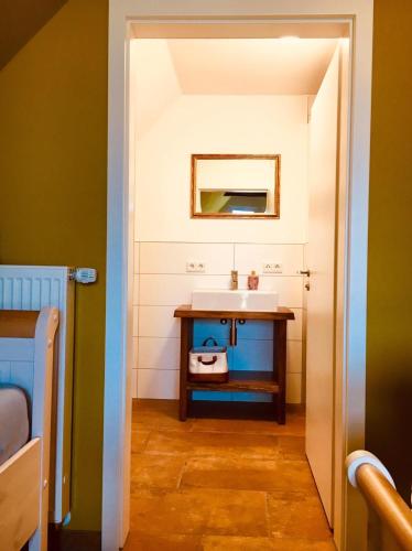 een badkamer met een wastafel en een spiegel bij Das Mühlchen in Ladbergen
