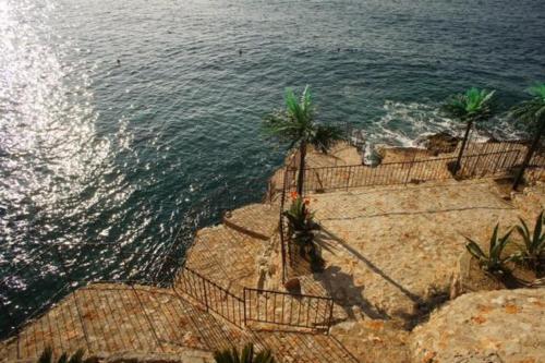 an aerial view of the ocean with palm trees at Your Home Montenegro in Dobra Voda