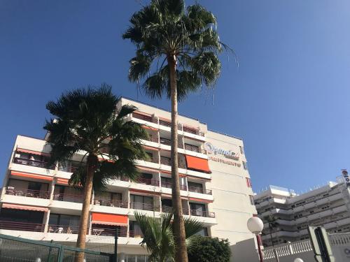 two palm trees in front of a building at Sweet home deluxe in Playa de las Americas