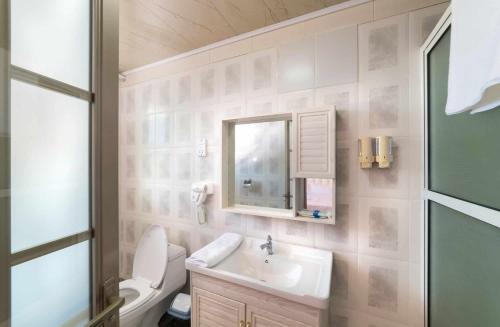 a bathroom with a toilet and a sink and a mirror at Riverside Hotel in Portsmouth