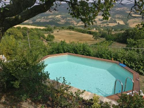 ein blauer Pool auf einem Feld mit einem Baum in der Unterkunft B&B La Terrazza Del Subasio in Assisi
