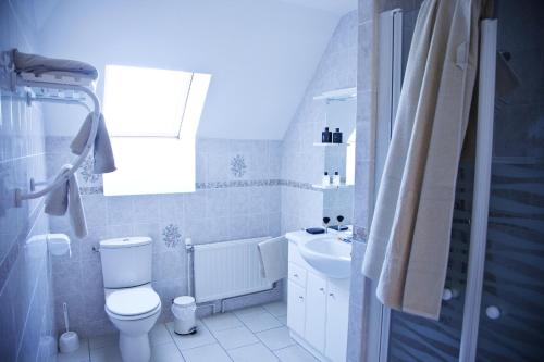 a bathroom with a toilet and a sink at Gîtes Estives d'Arrens in Arrens-Marsous