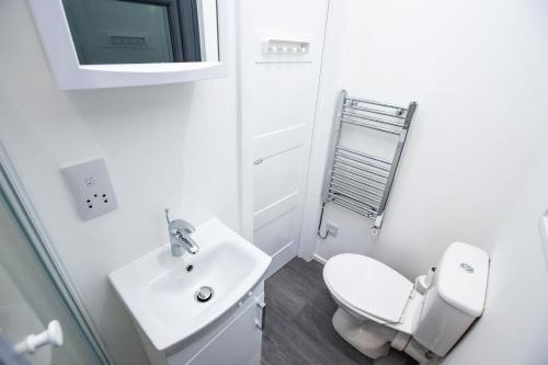 a white bathroom with a toilet and a sink at A UNIQUE Experience in a Converted Shipping Containers, Glamness is Adults Only in Inverness