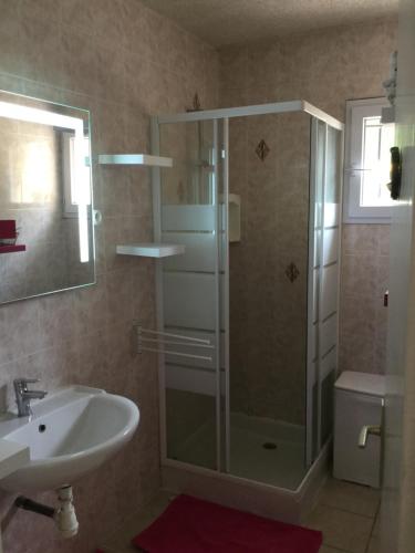 a bathroom with a shower and a sink at Appartements F2 Tiuccia in Tiuccia