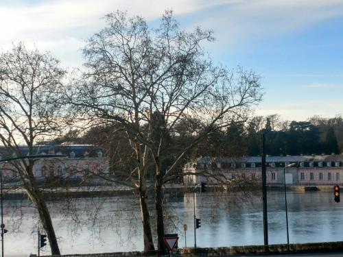 a tree in front of a body of water at Schloss Hotel in Düsseldorf