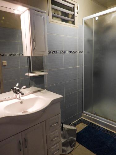 a bathroom with a sink and a shower at Sur la route du Voile in Salazie