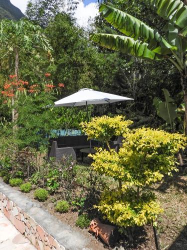 a table and an umbrella in a garden at Sur la route du Voile in Salazie