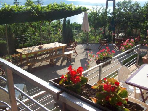 Gallery image of Vila Anastas in Ohrid