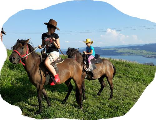 two people riding on horses on a hill at Gospodarstwo Karolina in Huba