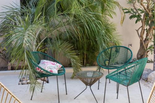 Un jardín fuera de Kuka y Naranjo