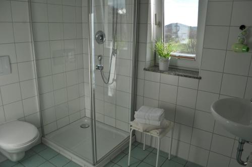 een badkamer met een douche, een toilet en een wastafel bij Pension Freudenthal in Wandersleben