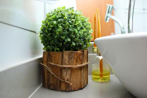 Una planta verde en una jardinera de madera junto a un fregadero. en CASA PE DE PEQUI, en Estivado