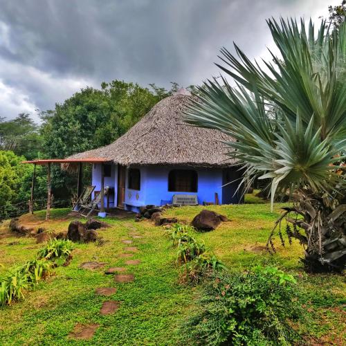 Aed väljaspool majutusasutust Finca del Sol Eco Lodge