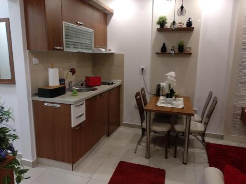 Η κουζίνα ή μικρή κουζίνα στο Vesna Apartman