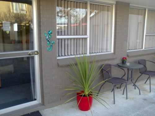 a patio with a table and chairs and a plant at Almond Court Motel in Alexandra