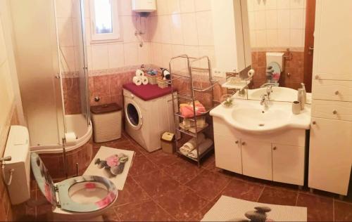 a bathroom with a toilet and a sink and a shower at Apartman Roza in Ploče