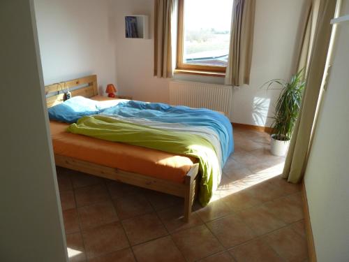 1 dormitorio con 1 cama en una habitación con ventana en Muschel, en Riepsdorf
