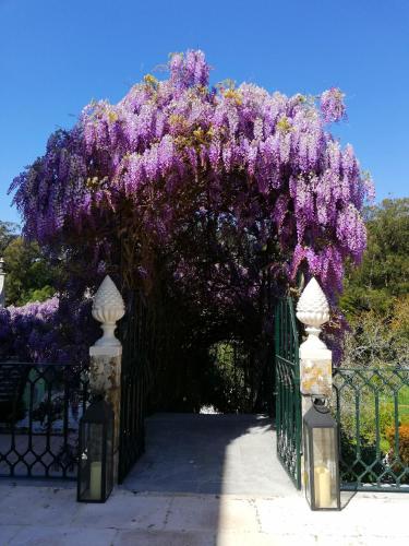 a gate with a bunch of purple flowers on it at Casa Holstein Quinta de Sao Sebastiao Sintra in Sintra