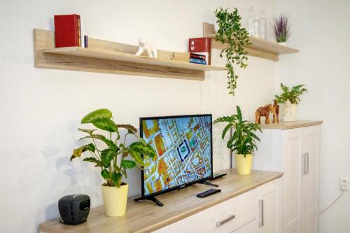 a tv sitting on a table with plants on it at Útulný druhý domov v srdci Žiliny in Žilina