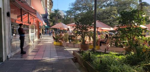 una persona parada frente a una tienda con macetas en Confortable 2 ambientes en Recoleta Excelente Ubicacion, en Buenos Aires