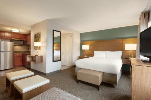 Staybridge Suites Tampa East- Brandon, an IHG Hotel Image