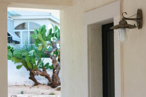 a light on the side of a door with a plant at B&B Margherita in Ostuni