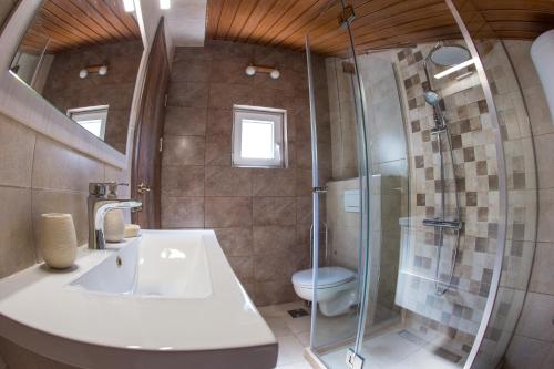a bathroom with a shower and a sink and a toilet at Apartments Villa Jovovic in Budva