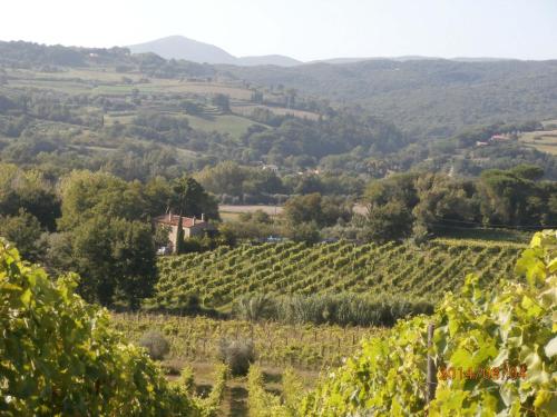GRANDE SOLE – Photos 2