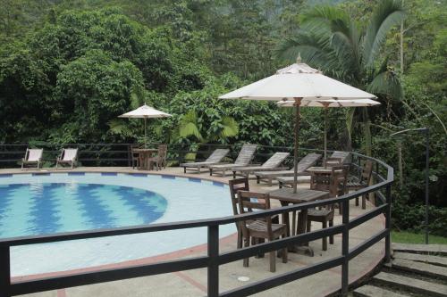 a pool with chairs and umbrellas and a table and chairs at HOTEL LA SELVA Reserva in La Vega