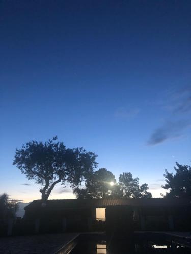 a tree in front of a blue sky with the sun at Chacara Papagaios in Mairiporã