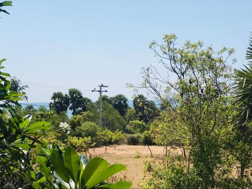a field with trees and a telephone pole in the distance at Temple Flower Guest in Kirinda